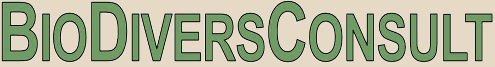 bdc-logo